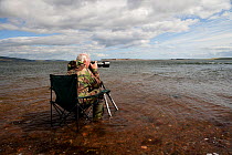Photographer sitting on chair in sea photographing Bottlenose dolphin at Chanonry Point, Moray Firth, Inverness-shire, Scotland, UK, May