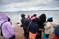 Visitors at Chanonry Point watching Bottlenose dolphin (Tursiops truncatus) surfacing, Moray Firth, Inverness-shire, Scotland, UK, July