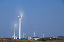 Robin Rigg windfarm, Workington, Solway Firth, Cumbria, UK, April 2011