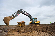 Heavy earth excavator removes clay for future replacement with topsoil. Machine operator Alan Deval. Wetland habitat ecosytem creation for the RSPB by Breheny Civil Engineers at Bowers Marsh RSPB Rese...