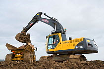 Heavy earth excavator removes clay for future replacement with topsoil. Wetland habitat ecosytem creation for the RSPB by Breheny Civil Engineers at Bowers Marsh RSPB Reserve, Thames Estuary, Essex, U...