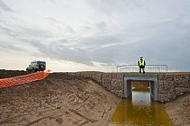 RSPB Project Manager Dave Hedges at the new water vole habitat. Wetland habitat ecosytem creation for the RSPB by Breheny Civil Engineers at Bowers Marsh RSPB Reserve, Thames Estuary, Essex, UK. Novem...