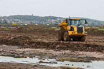 Wetland habitat ecosytem creation for the RSPB by Breheny Civil Engineers at Bowers Marsh RSPB Reserve, Thames Estuary, Essex, UK. November 2011. Machinery removing the heavy clay.