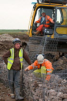 Breheny staff working on the new water vole habitat. Wetland habitat ecosytem creation for the RSPB by Breheny Civil Engineers at Bowers Marsh RSPB Reserve, Thames Estuary, Essex, UK. November 2011....