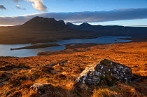 Dawn over Ben Mor Coigach and Loch Lurgainn, Inverpolly, Sutherland, Highlands, Scotland, UK, January 2011. Did you know? Ben Mor Coigach is the largest Scottish Wildlife Trust Reserve covering 6,000...