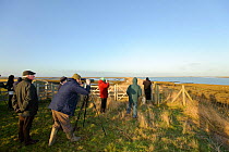 An event to introduce the local community to the RSPB Wallasea Wild Coast Project. RSPB staff and  volunteers showed the birdlife to visitors and explained the plans for the future of Wallasea Island,...