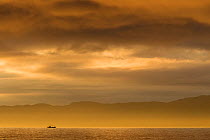 Fishing boat silhouetted at sunset, The Minch, a stretch of water between NW Highlands and the Inner Hebrides, Scotland, UK, May 2010