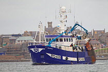 Fishing trawler leaving Lerwick Harbour, Shetland Islands, Scotland, UK, June 2010