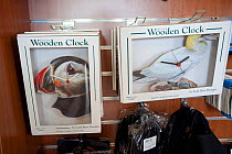 Souvenir shop gannet and puffin clocks inside the Scottish Seabird Centre in North Berwick showing economic benefits of presence of Bass Rock, Firth of Forth, Scotland, UK, July 2010