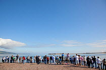 People waiting on Chanonry Point beach hoping to see dolphins, Fortrose, Moray Firth, Lothian, Scotland, UK, August 2010