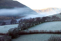 Gilfach Farm SSSI fields and hedges in frost and mist. Marteg valley, Cambrian mountains, Radnorshire Wildlife Trust, Wales, UK, November 2010.