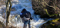Rear view of couple watching leaping salmon. River Marteg SSSI, Gilfach farm nature reserve, Radnorshire Wildlife Trust, November.