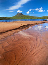 Sandy shore of Loch Lurgain with Stac Pollaidh in the background, Highlands, Scotland, UK, June 2011