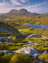 Bog wetlands with Suilven mountain in the background at dawn, Assynt mountains, Highland, Scotland, UK, June 2011