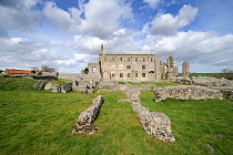 Binham Priory, remains of Benedictine priory showing the priory church of St Mary and the Holy Cross. Norfolk, England, April 2011.
