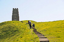 Tourists climbing the path up Glastonbury Tor to St. Michael's Tower. Somerset, England, May 2011.