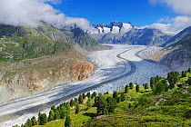 Aletsch Glacier, UNESCO World Heritage Site. Jungfrau-Aletsch-Bietschhorn, Goms, Valais, Switzerland, Europe, August 2008.
