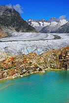 Aletsch Glacier, UNESCO World Heritage Site. Jungfrau-Aletsch-Bietschhorn, Goms, Valais, Switzerland, Europe, August 2008.