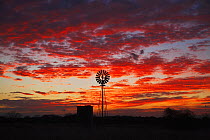 Wind mill at sunset. Sinton, Corpus Christi, Coastal Bend, Texas, USA, February.