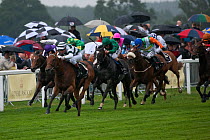Horse racing - Immortal Verse (ridden by G.Mosse in White and Dark Green) wins The Coronation Stakes, over Nova Hawk (2nd, ridden by S.Pasquier in Emmerald Green and Yellow) and Barefoot Lady (3rd, ri...