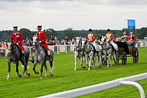The royal parade arrives on the race track, in June 2011, on the 300th Anniversary of Royal Ascot, Berkshire, England. Her Majesty The Queen is in the first carriage pulled by Windsor Grey.