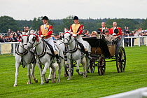 The royal parade arrives on the race track, in June 2011, on the 300th Anniversary of Royal Ascot, Berkshire, England. Her Majesty The Queen and Prince Philip are in the first carriage pulled by Winds...