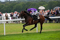 Horse racing - Fame And Glory (ridden by J.Spencer) wins the much sought-after Gold Cup, in June 2011, on the 300th Anniversary of Royal Ascot, Berkshire, England.