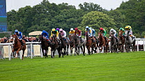 Horse racing - 15 Four Yrs Old and Upwards compete  to win the Gold Cup, in June 2011, on the 300th Anniversary of Royal Ascot, Berkshire, England.