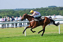 Horse racing - Veiled (ridden by K. Fallon) wins The Ascot Stakes, in June 2011, on the 300th Anniversary of Royal Ascot, Berkshire, England.