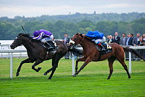 Horse racing - Rewilding (ridden by F.Dettori, in Royal Blue) catches favourite So You Think (ridden by R.Moore, in Purple and White) to win The Prince of Wales's Stakes, in June 2011, on the 300th An...