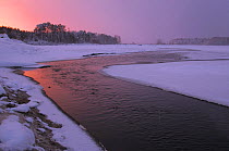 Afternoon light on a snow-banked river. Poleski National Park, Poland, November.