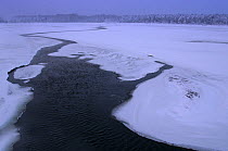 Ice and snow surrounding river. Poleski National Park, Poland, November.