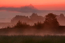 Dawn in Poleski National Park, Poland, September 2005.