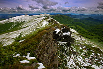 Krzemien Peak. Bieszczady National Park, the Carpathians, Poland, May, 2009.
