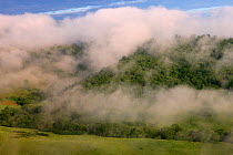 Mist over Krywe in Sun River Valley. Bieszczady National Park, the Carpathians, Poland, June.