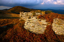 Krzemien Peak. Bieszczady National Park, the Carpathians, Poland, September 2009.
