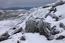 Rocks in frost on Tarnica Peak. Bieszczady National Park, the Carpathians, Poland, January 2010.