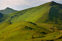 Halicz Peak in summer. Bieszczady National Park, the Carpathians, Poland, July 2010.