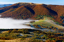 Rawki Peak and low clouds. Bieszczady National Park, the Carpathians, Poland, October 2010.