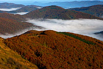 Low cloud in Bieszczady National Park, view from Polonina Carynska, the Carpathians, Poland, October 2010.
