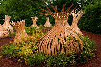 Exhibit titled 'the Bulb garden' at the International Garden Festival 2011, theme Biodiversity, Chateau Chaumont-sur-Loire, France, June 2011