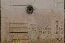 Stone marking date and height of flood levels of the River Loire at Behuard, France, April 2010