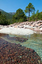 River Fango, MAB reserve, Corsica, France, September 2010