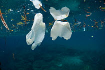 Plastic bags floating at the surface of the sea. Bunaken National Park, North Sulawesi, Indonesia.