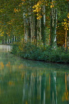 The Canal du Midi at dawn. Castelnaudary, Aude, Languedoc-Roussillon, France, July 2010.