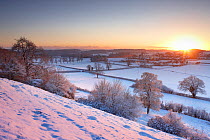 Frost and snow on the trees at sunset. East Hill overlooking Milborne Port, Somerset, England, December 2010.