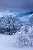 Snow-covered Piano Grande in winter. Monti Sibillini National Park, Umbria, Italy, February 2010.