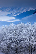 Snow-covered Piano Grande in winter. Monti Sibillini National Park, Umbria, Italy, February 2010.