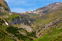 Pineta mountains and valley of River Real. Pyrenees, Aragon, Spain, May 2011.
