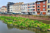 Artificial island in canal for fish to spawn around and as a breeding place for waterfowl. Ghent, Belgium, May 2011.
